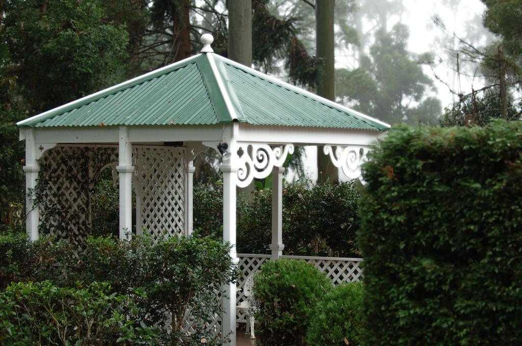 The Castle On Tamborine Ξενοδοχείο Mount Tamborine Εξωτερικό φωτογραφία